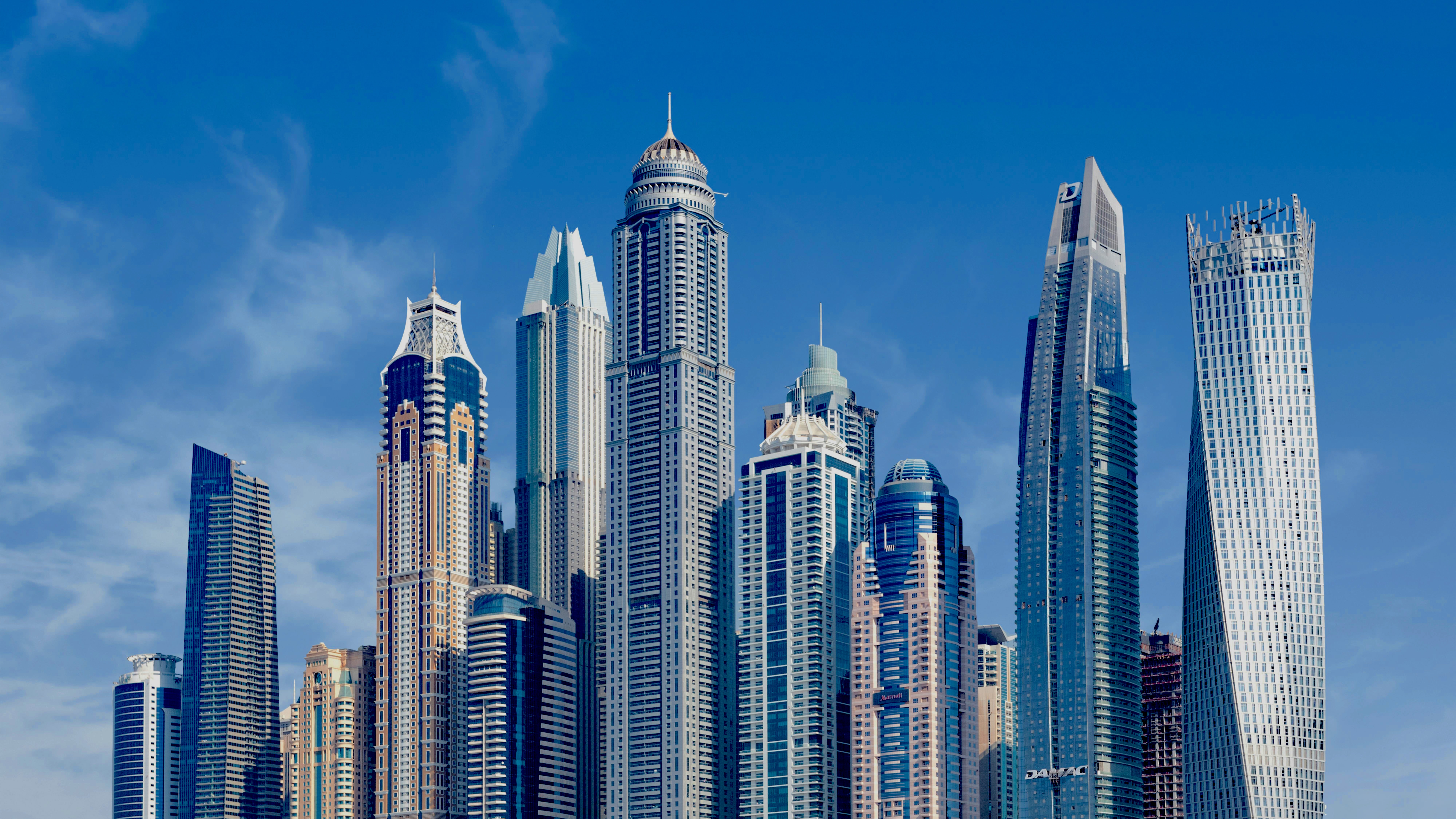 Professional discussing environmental commodities trading